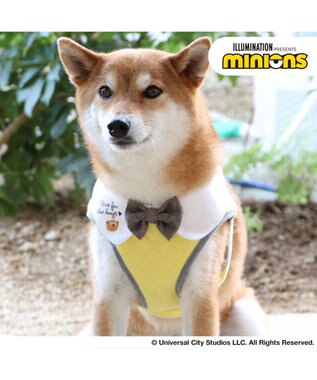 犬 ハーネス ミニオン ベストハーネス ｓｍ キルティング 小型犬 おさんぽ おでかけ お出掛け おしゃれ オシャレ かわいい Pet Paradise 通販 雑貨とペット用品の通販サイト マザーガーデン ペットパラダイス
