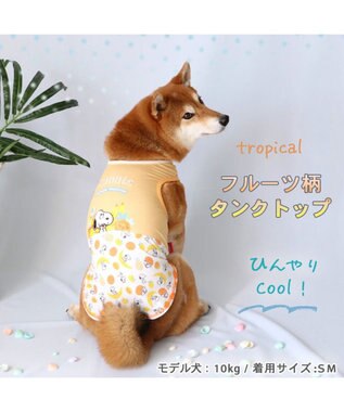 PET PARADISE 犬の服 春夏 ひんやり クール メッシュ 接触冷感 虫よけ スヌーピー フルーツ柄 タンクトップ 【中型犬】  クールマックスエコメイド 橙