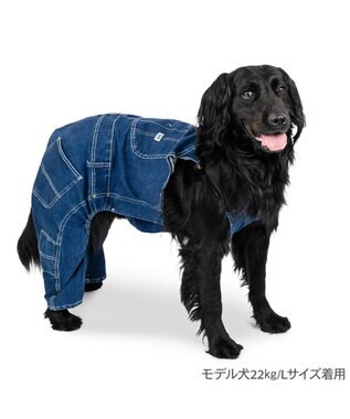 PET PARADISE Lee デニム 白ステッチ オーバーオール  中型犬 大型犬 ネイビー