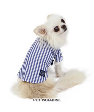 PET PARADISE 犬の服 犬 J.PRESS ストライプシャツ  【小型犬】 青