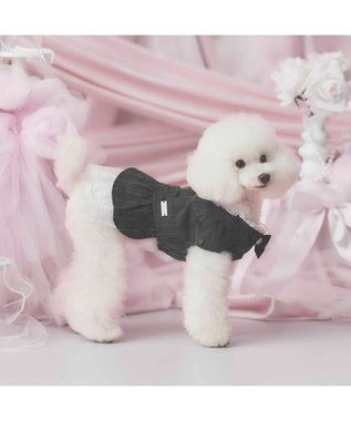 PET PARADISE cherircouture ジャケットワンピース 小型犬 ブラック