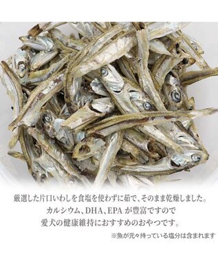 PET PARADISE 塩無添加 片口いわし 40g 国産 0