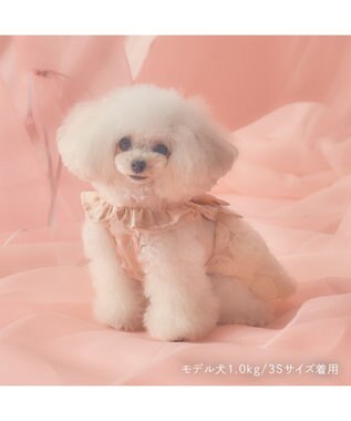 Amethyst Pet Couture犬用フリルドレス ピンク Amethyst Pet Couture犬用フリルドレス ピンク