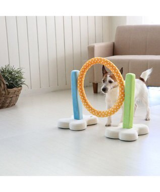 PET PARADISE 犬 トイ TOY ペットパラダイス アジリティ セット 訓練 ドッグアジリティ トレーニング マルチカラー