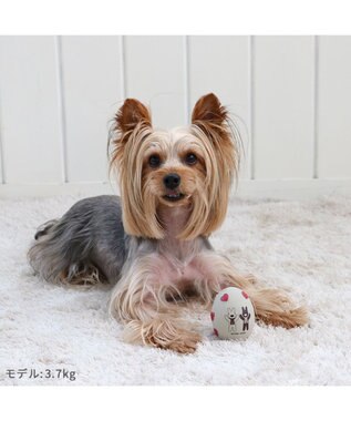 PET PARADISE リサとガスパール ラテックス トイ 《ハート柄》 ハート柄