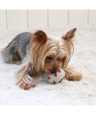 PET PARADISE リサとガスパール ラテックス トイ 《ハート柄》 ハート柄