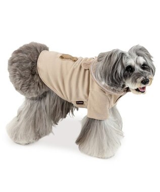 PET PARADISE ペットパラダイス くまちゃん襟 プレミアム ペティヒート Tシャツ 小型犬 モカ