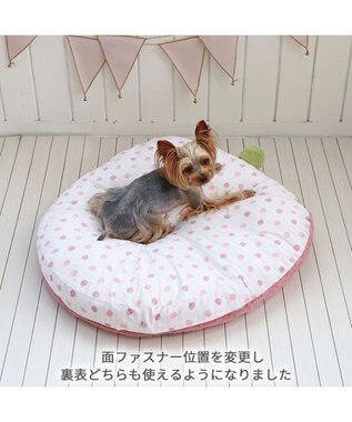 PET PARADISE ネット店限定  くすみ苺 クッション (70×71cm)  小型犬 ピンク