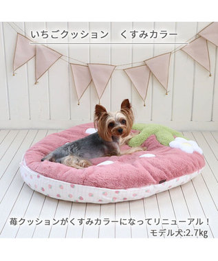 ネット店限定 くすみ苺 クッション (70×71cm) 小型犬 / PET PARADISE