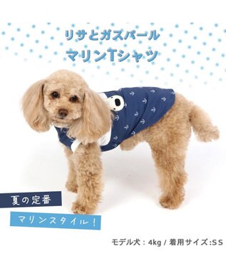 T.Katsumi (@ChinaObachan517) / X