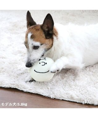 PET PARADISE スヌーピー 犬用おもちゃ デンタル フェイス チャーリーブラウン ベージュ