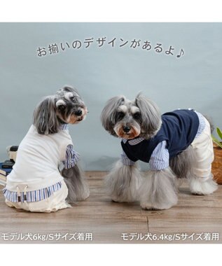 PET PARADISE ペットパラダイス ベスト パンツつなぎ 《ネイビー》 小型犬 ネイビー×ホワイト