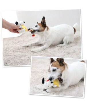 PET PARADISE スヌーピー  流れ星トイ  小型犬 流れ星
