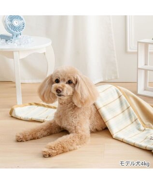 PET PARADISE ペットパラダイス クール ブランケット 《ナチュラル柄》 ベージュ