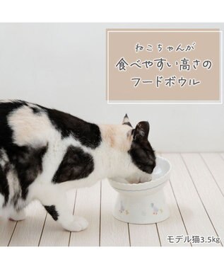 PET PARADISE ペットパラダイス 猫 高さのあるえさ皿 《あひる》 ホワイト