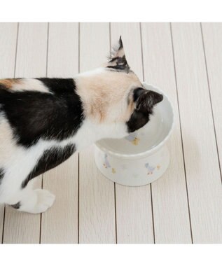 PET PARADISE ペットパラダイス 猫 高さのあるえさ皿 《あひる》 ホワイト