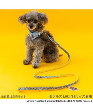 PET PARADISE ミニオン チャーム付リード SS~S ブルー