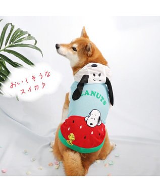 PET PARADISE 犬の服 春夏 スヌーピー スイカ柄 メッシュ パーカー【中型犬】 水色