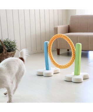 犬 トイ TOY ペットパラダイス アジリティ セット 訓練 ドッグアジリティ トレーニング, マルチカラー, ー