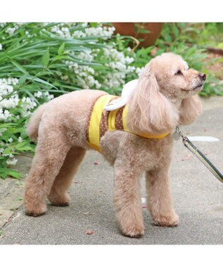 PET PARADISE ペットパラダイス  はちクールベスト 小型犬 -