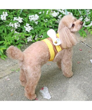 PET PARADISE ペットパラダイス  はちクールベスト 小型犬 -