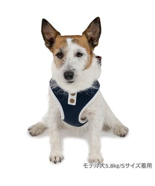 PET PARADISE ペットパラダイス ライン入りリュック付き ハーネス ＳＳ 小型犬 ネイビー