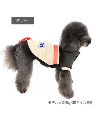 PET PARADISE Ｌｅｅスウェット トレーナー 【小型犬】 グレー グレー