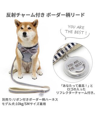 PET PARADISE 犬 リード 【ＳＭ】 ボーダー 紺（ネイビー・インディゴ）