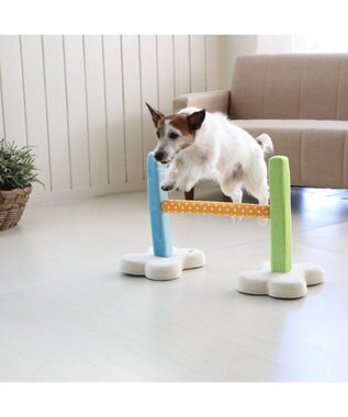PET PARADISE 犬 トイ TOY ペットパラダイス アジリティ セット 訓練 ドッグアジリティ トレーニング マルチカラー