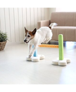 PET PARADISE 犬 トイ TOY ペットパラダイス アジリティ セット 訓練 ドッグアジリティ トレーニング マルチカラー