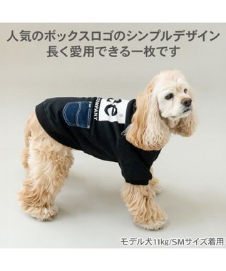 PET PARADISE Lee ボックスロゴ トレーナー ブラック 中型犬 ブラック