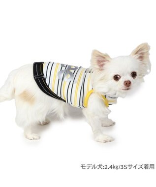 PET PARADISE Lee エコメイド 彩ボーダー タンクトップ 小型犬 ホワイト×ブラック