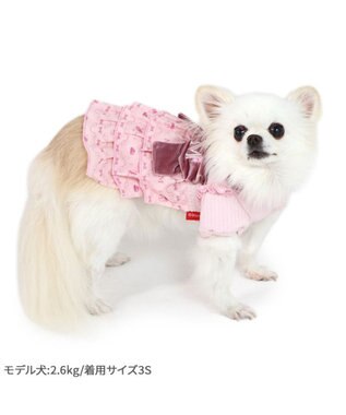 PET PARADISE ディズニー ミニーマウス ワンピース 《モノグラム柄》 小型犬 モノグラム柄