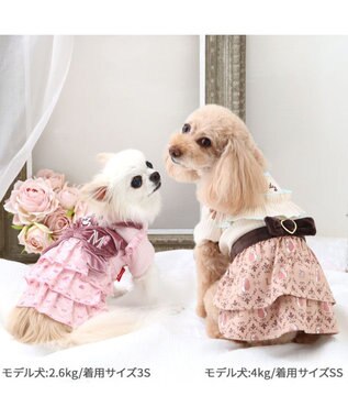 PET PARADISE ディズニー ミニーマウス ワンピース 《モノグラム柄》 小型犬 モノグラム柄