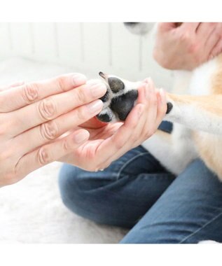 犬 猫 肉球ケア スプレー 100ｍｌ Pet Paradise 通販 雑貨とペット用品の通販サイト マザーガーデン ペットパラダイス