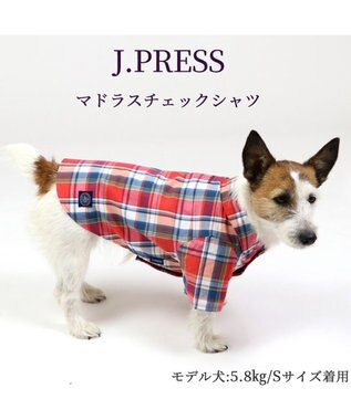 犬の服 犬 シャツ J.PRESS 【小型犬】 赤 チェック / PET