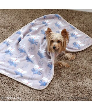 PET PARADISE リサとガスパール ブラケット 《であい柄》 90×60cm であい柄