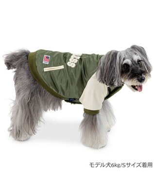 PET PARADISE J.PRESS ミリタリー スタジャン 小型犬 カーキ