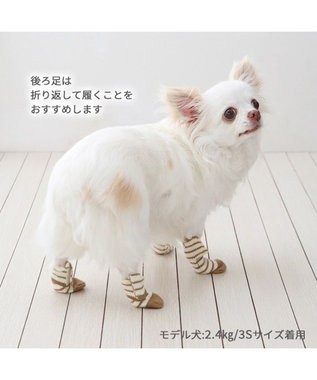 PET PARADISE ペットパラダイス makokoro スリット 靴下 《ボーダー》 ３Ｓ 小型犬 ボーダー