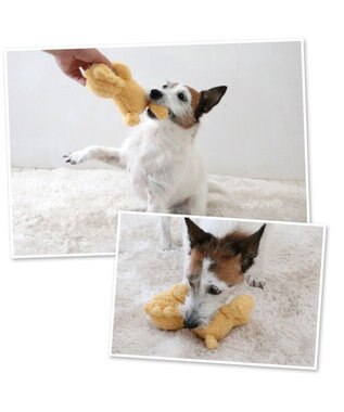 PET PARADISE スヌーピー ウッドストック うたたねトイ ウッドストック