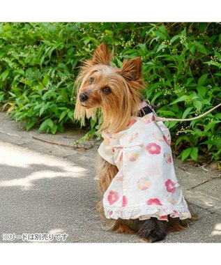 PET PARADISE ペットパラダイス 甚平《梅てまり柄》　小型犬 ホワイト×レッド