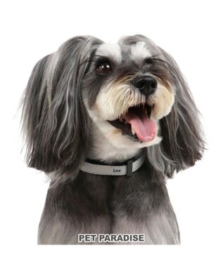 犬 首輪 lee s チャーム付き 小型犬 おさんぽ おでかけ お出掛け おしゃれ オシャレ かわいい Pet Paradise 通販 雑貨とペット用品の通販サイト マザーガーデン ペットパラダイス 犬 首輪 lee s チャーム付き 小型犬 おさんぽ おでかけ お出掛け おしゃれ オシャレ かわいい Pet Paradise 通販 雑貨とペット用品の通販サイト マザーガーデン ペットパラダイス
