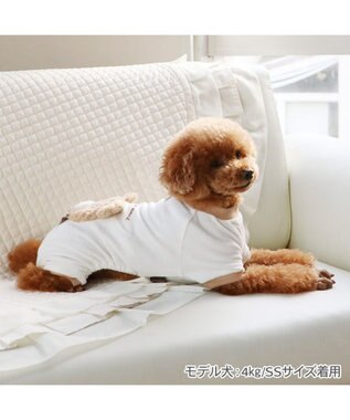 PET PARADISE ペットパラダイス くまちゃん サーモキープ ロンパース 小型犬 ホワイト×ブラウン