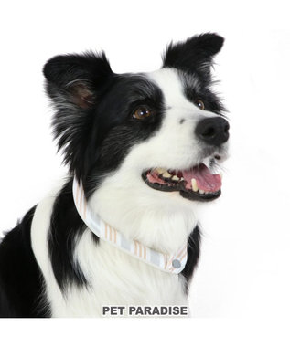 PET PARADISE クールリング 犬 クールネック ひんやり 28℃クールリング 【M】 リフレクター 水色 ベージュ 反射材付き ベージュ M