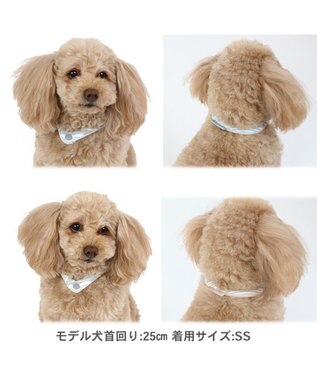 PET PARADISE ペットパラダイス 28℃ クールリング 【ＳＳ】 《 水色 / ベージュ》 水色 ＳＳ