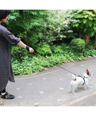 PET PARADISE 両面反射リード ブラック 120cm【ＳＳ~Ｓ】 黒