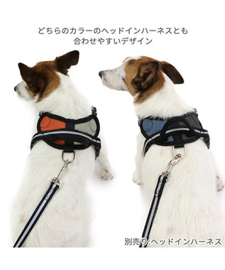 PET PARADISE 両面反射リード ブラック 120cm【SS~S】 黒