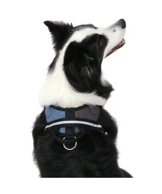 PET PARADISE ヘッドインハーネス 【Ｌ】 オレンジ / ブルー  【大型犬】 ブルー×ブラウン