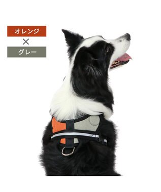 ヘッドインハーネス 【Ｌ】 オレンジ / ブルー 【大型犬】, オレンジ×グレー, Ｌ