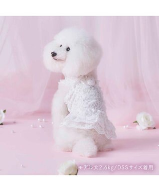 PET PARADISE cherircouture 総レース キャミソール 小型犬 ホワイト